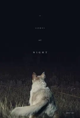 黑夜造访 It Comes at Night