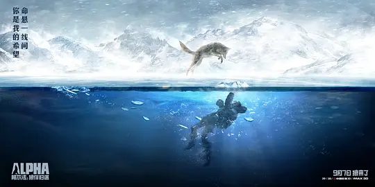 电影剧照