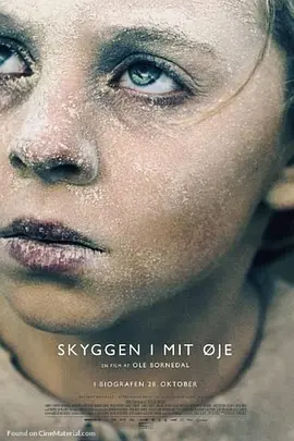 我眼中的阴影 Skyggen i mit &oslash;je