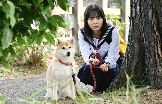 电影剧照