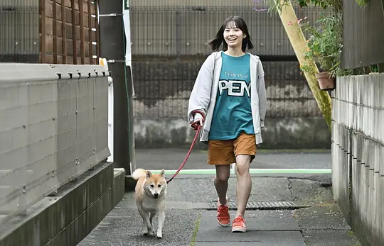 电影剧照