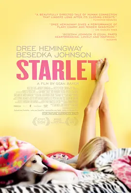待绽蔷薇 Starlet
