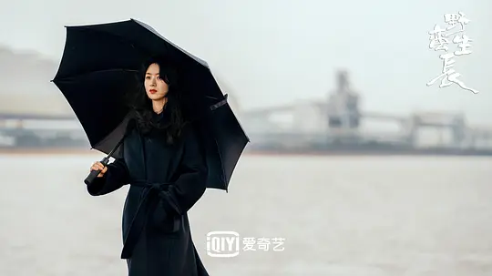 电影剧照