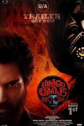 南印诡影：18年追凶 Bhoothaddam Bhaskar Narayana (2024)