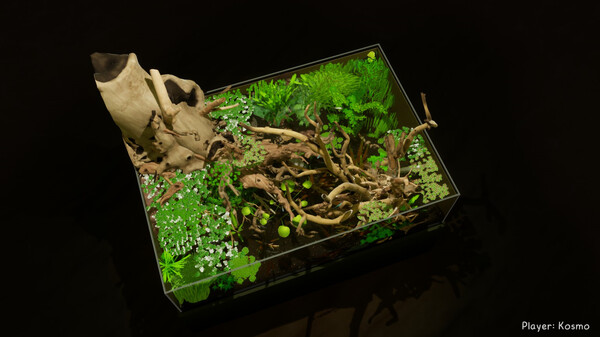 养鱼模拟器 v00.03.24 全DLC（Fish Game）免安装英文版 截图